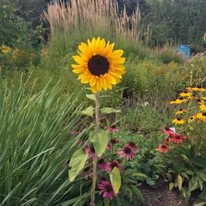 Meet your Posher, Jan